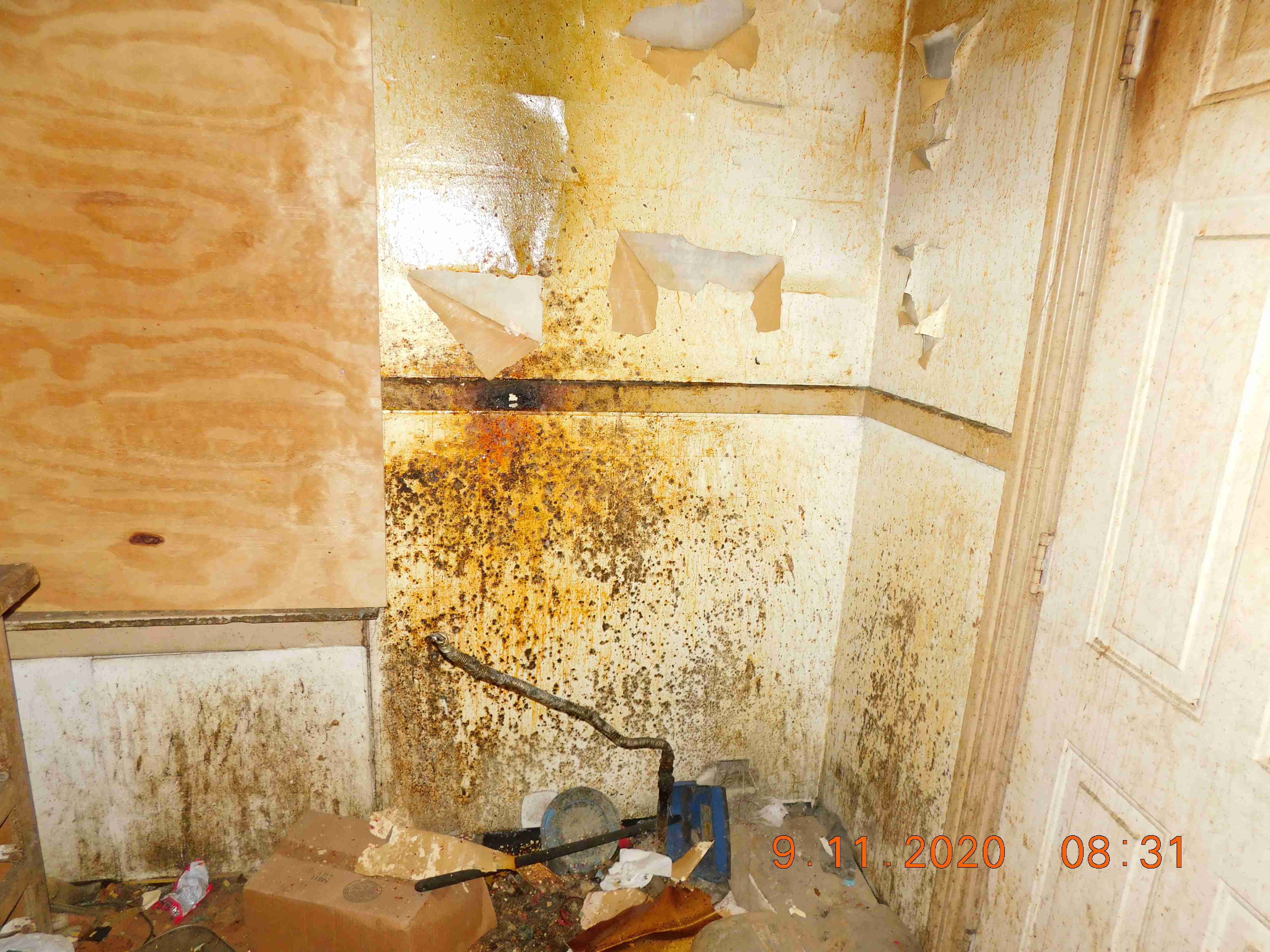 2241 Fullerton (16).jpg